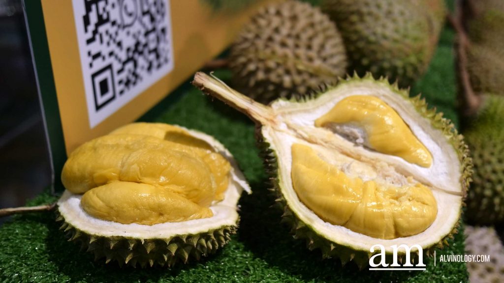 [Review] Penang Street Feast + Free-flow Durian: The Ultimate Halal Buffet Experience at 21 on Rajah - Alvinology