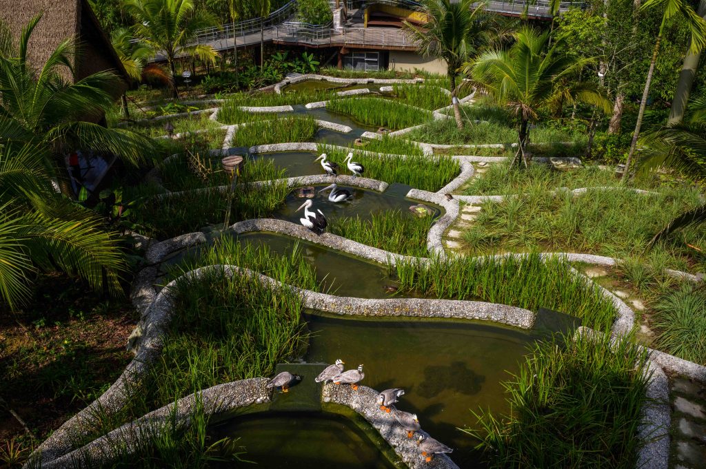 Bird Paradise Wins Top Honour at President*s Design Award 2025 for Outstanding Sustainability and Immersive Design Bird Paradise Wins Top Honour at President*s Design Award 2025 for Outstanding Sustainability and Immersive Design - Alvinology
