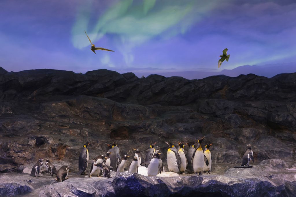 Bird Paradise Wins Top Honour at President*s Design Award 2025 for Outstanding Sustainability and Immersive Design Bird Paradise Wins Top Honour at President*s Design Award 2025 for Outstanding Sustainability and Immersive Design - Alvinology