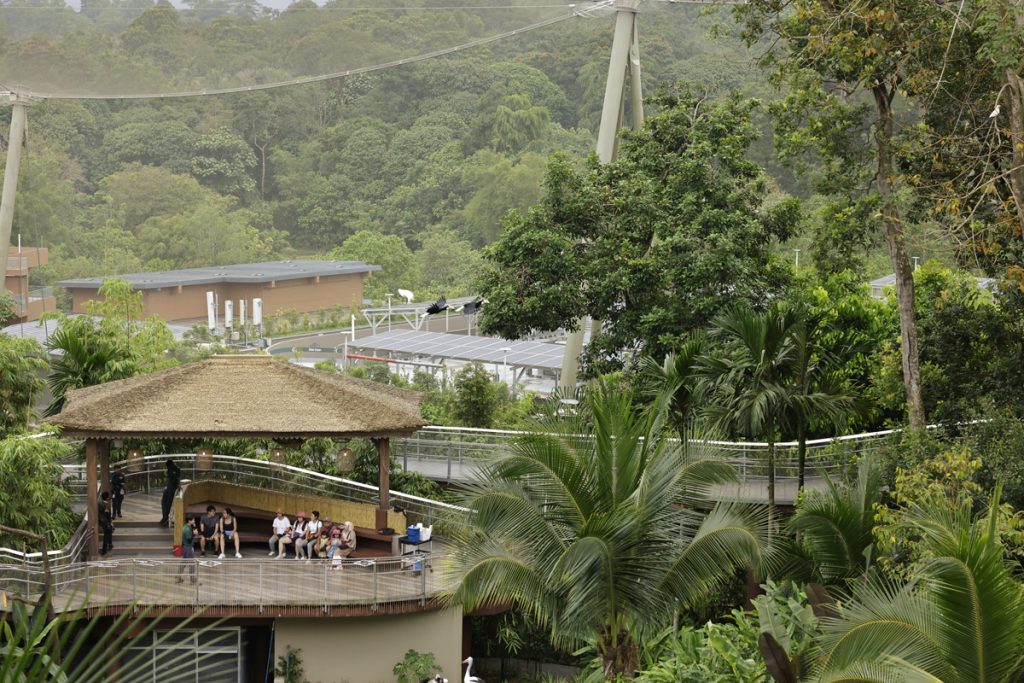 Bird Paradise Wins Top Honour at President*s Design Award 2025 for Outstanding Sustainability and Immersive Design Bird Paradise Wins Top Honour at President*s Design Award 2025 for Outstanding Sustainability and Immersive Design - Alvinology