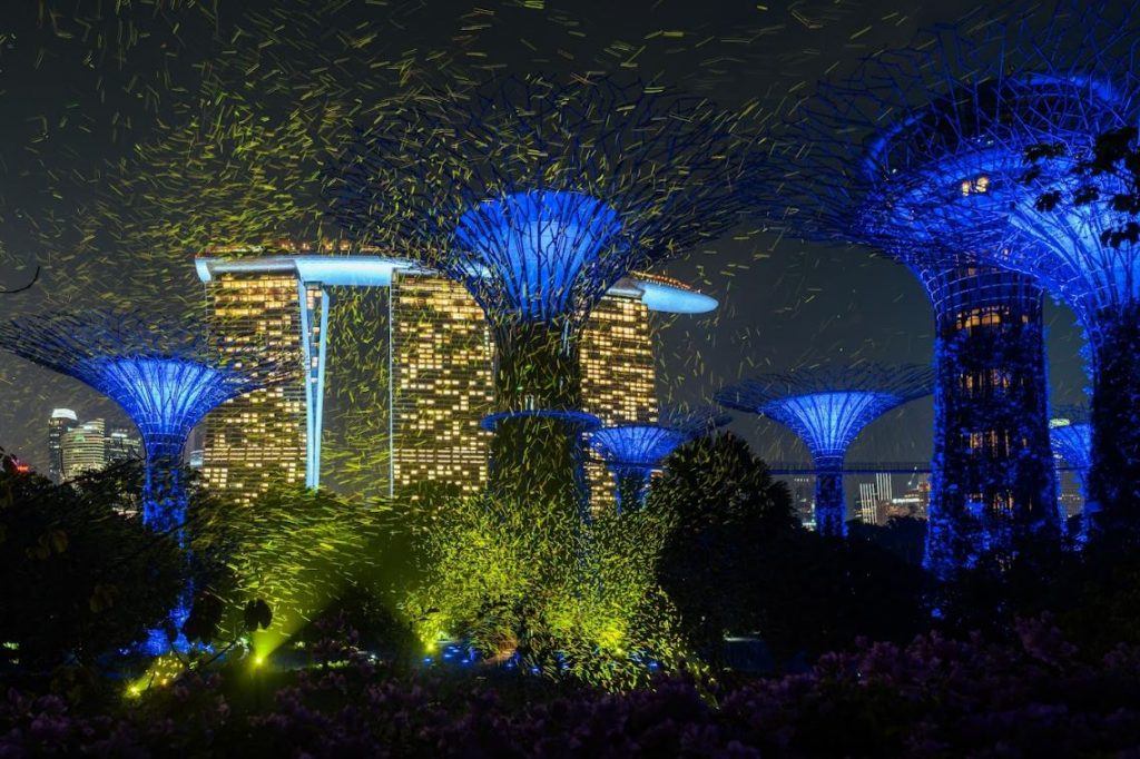 Gardens by the Bay Lights Up for SG60 with Orchid Extravaganza and Dazzling Firefly-Inspired Installation Gardens by the Bay Lights Up for SG60 with Orchid Extravaganza and Dazzling Firefly-Inspired Installation - Alvinology