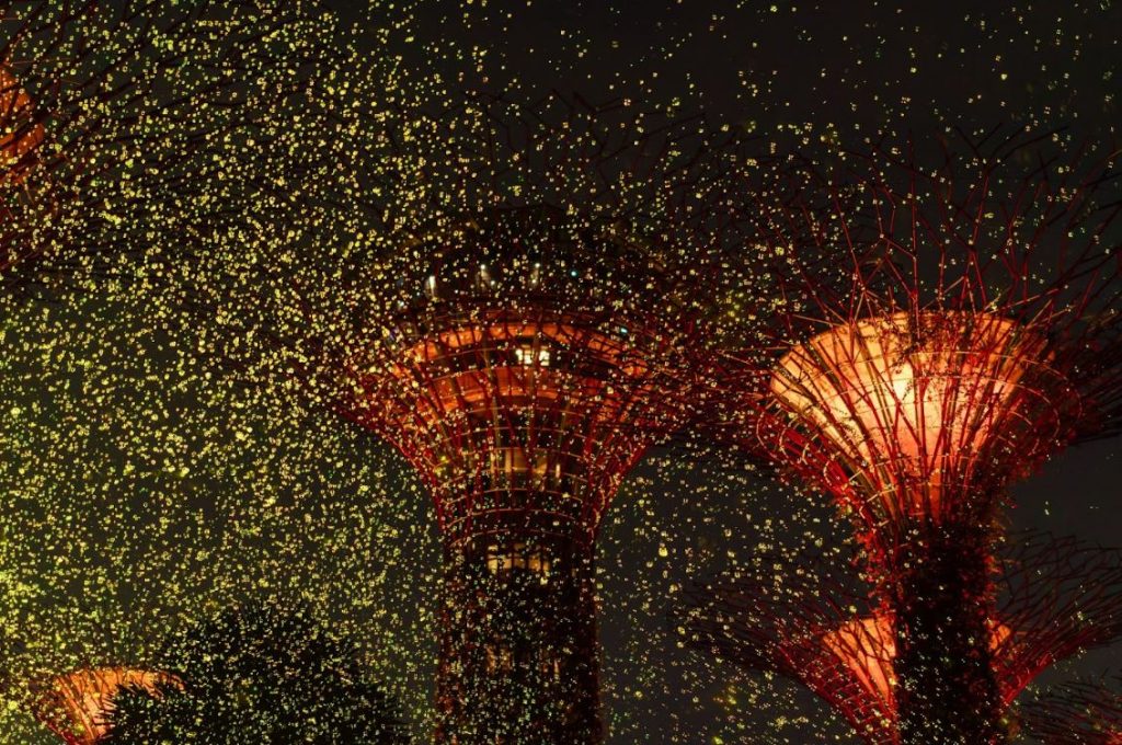 Gardens by the Bay Lights Up for SG60 with Orchid Extravaganza and Dazzling Firefly-Inspired Installation Gardens by the Bay Lights Up for SG60 with Orchid Extravaganza and Dazzling Firefly-Inspired Installation - Alvinology