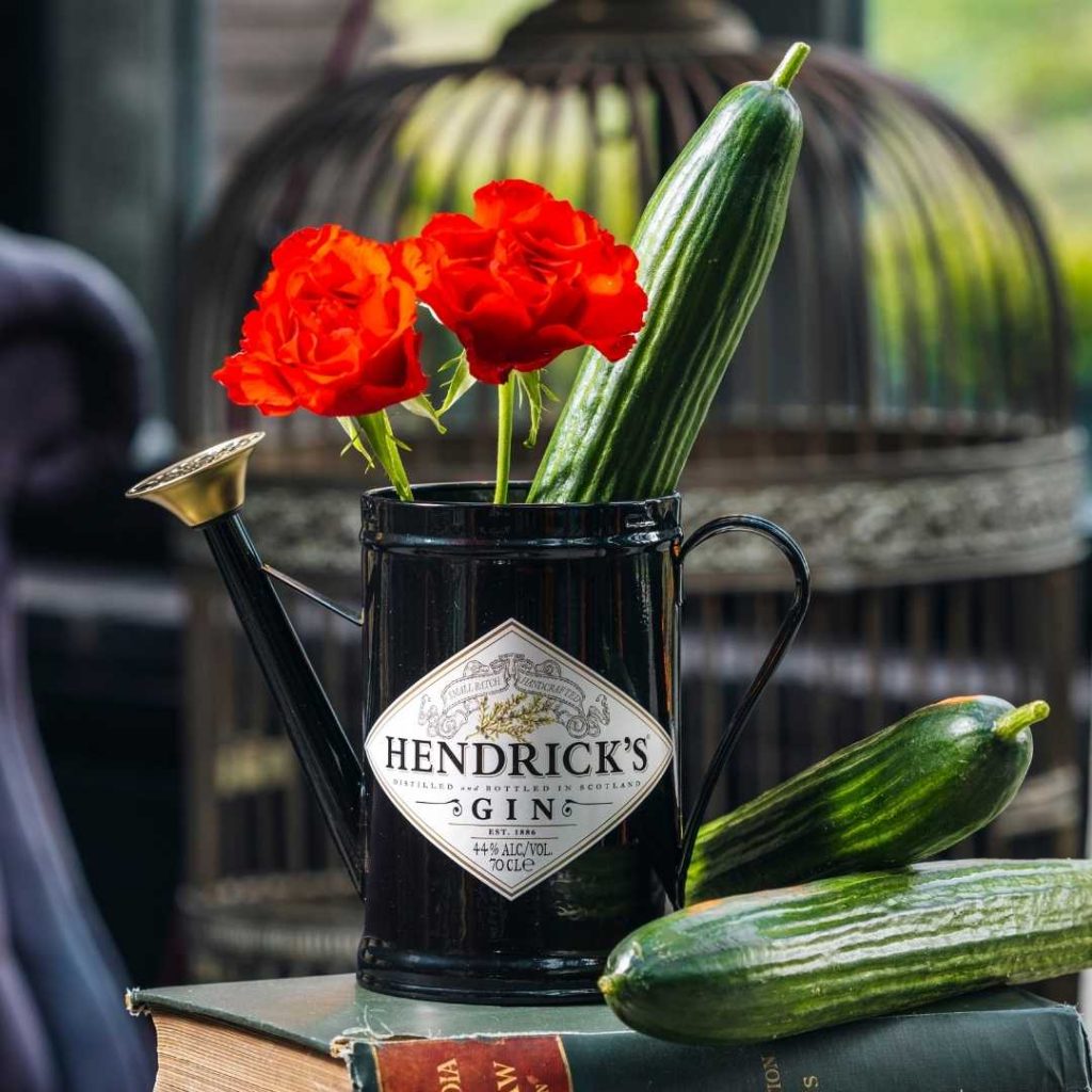 Hendrick’s Whimsical Watering Can: A Quirky Collectible for Gin Enthusiasts - Alvinology