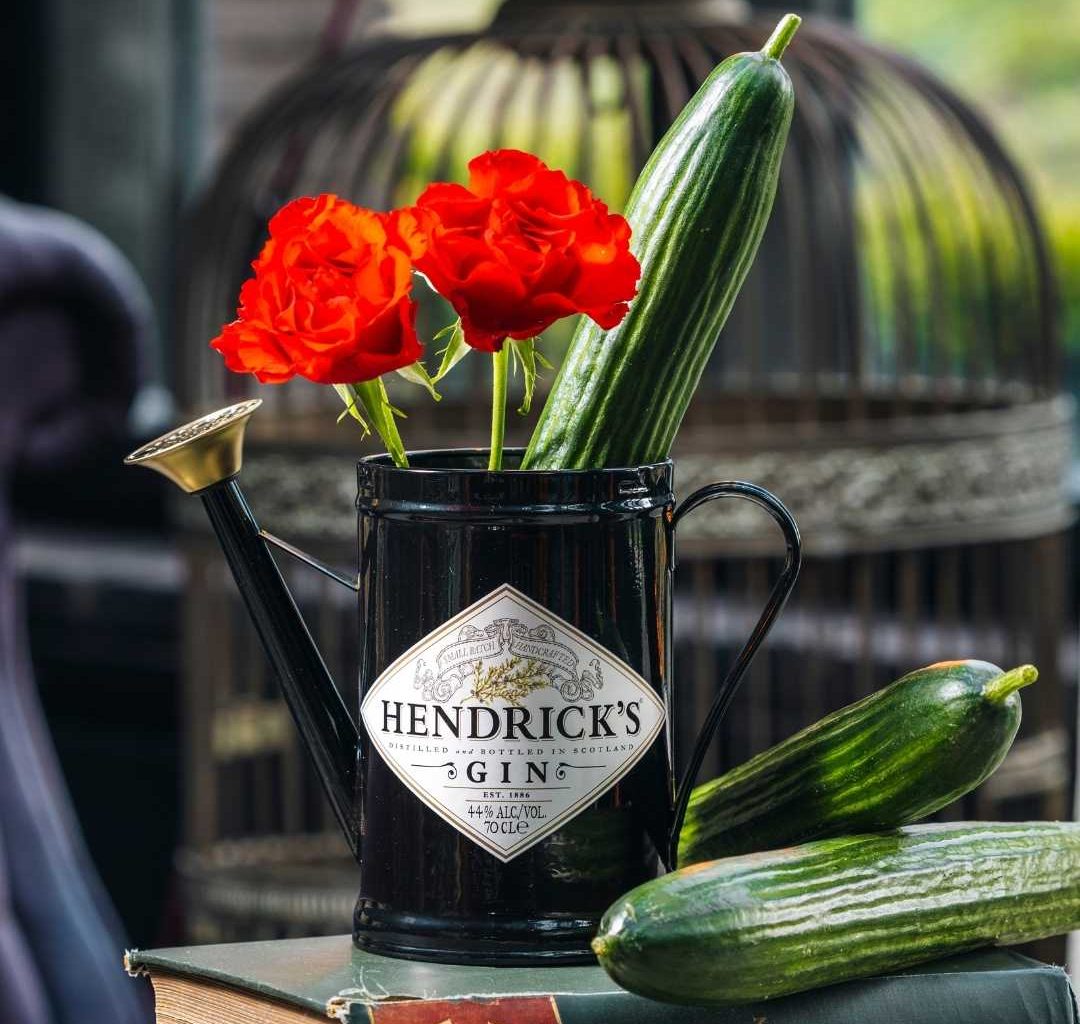 Hendrick’s Whimsical Watering Can: A Quirky Collectible for Gin Enthusiasts - Alvinology