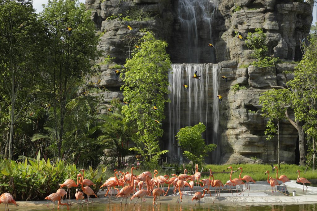 Bird Paradise Wins Top Honour at President*s Design Award 2025 for Outstanding Sustainability and Immersive Design Bird Paradise Wins Top Honour at President*s Design Award 2025 for Outstanding Sustainability and Immersive Design - Alvinology