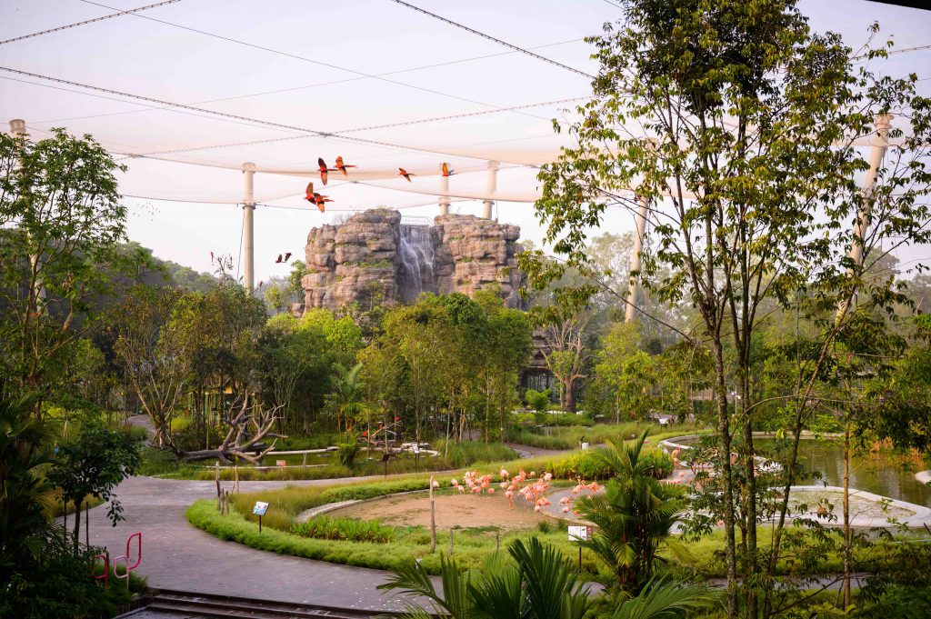 Bird Paradise Wins Top Honour at President*s Design Award 2025 for Outstanding Sustainability and Immersive Design Bird Paradise Wins Top Honour at President*s Design Award 2025 for Outstanding Sustainability and Immersive Design - Alvinology