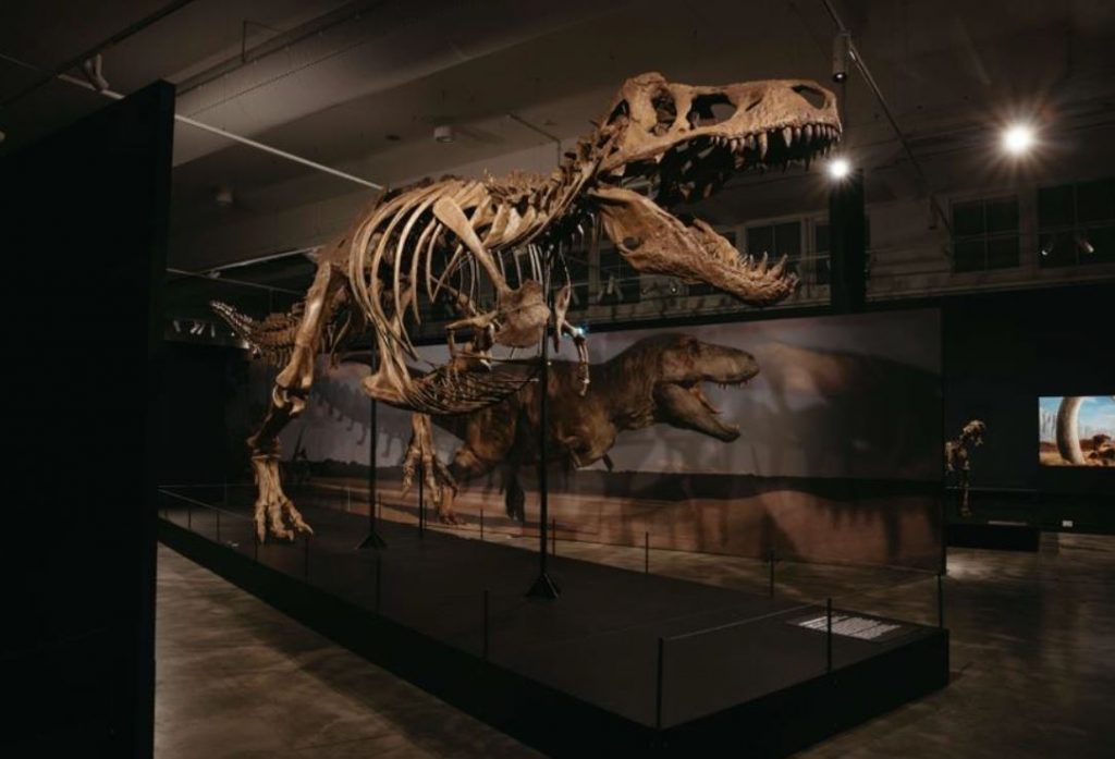 Science Centre Singapore to Unveil Largest-Ever Dinosaur Exhibition This October Science Centre Singapore to Unveil Largest-Ever Dinosaur Exhibition This October - Alvinology