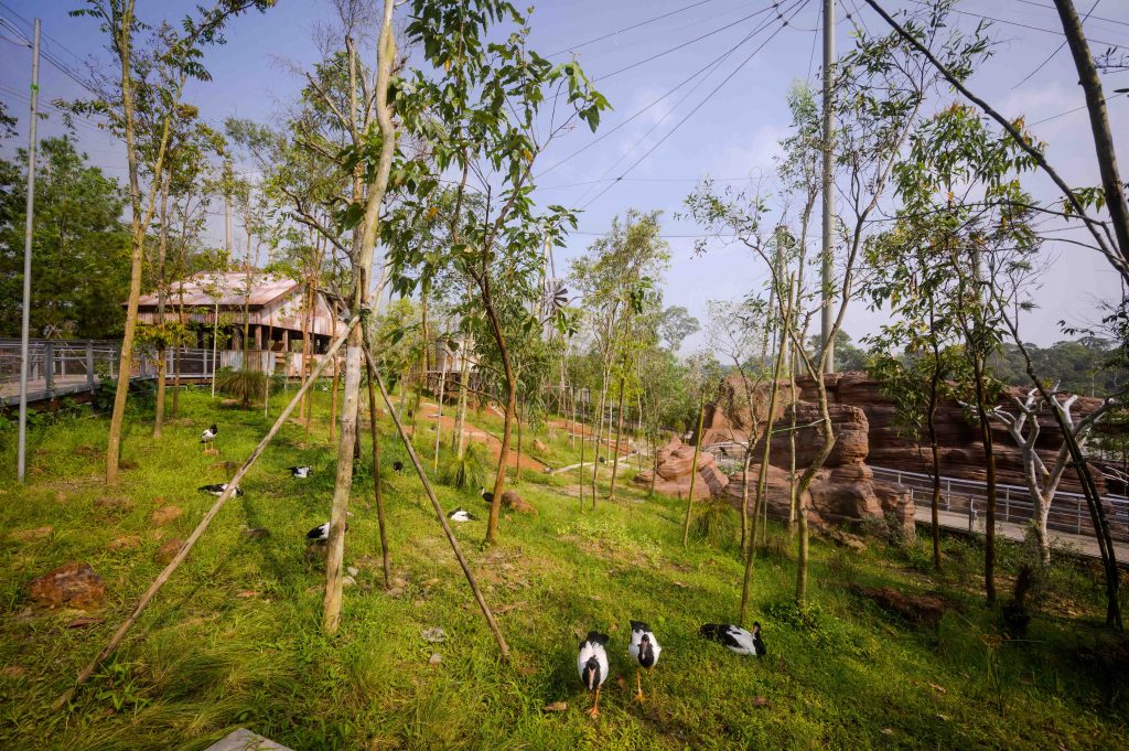 Bird Paradise Wins Top Honour at President*s Design Award 2025 for Outstanding Sustainability and Immersive Design Bird Paradise Wins Top Honour at President*s Design Award 2025 for Outstanding Sustainability and Immersive Design - Alvinology