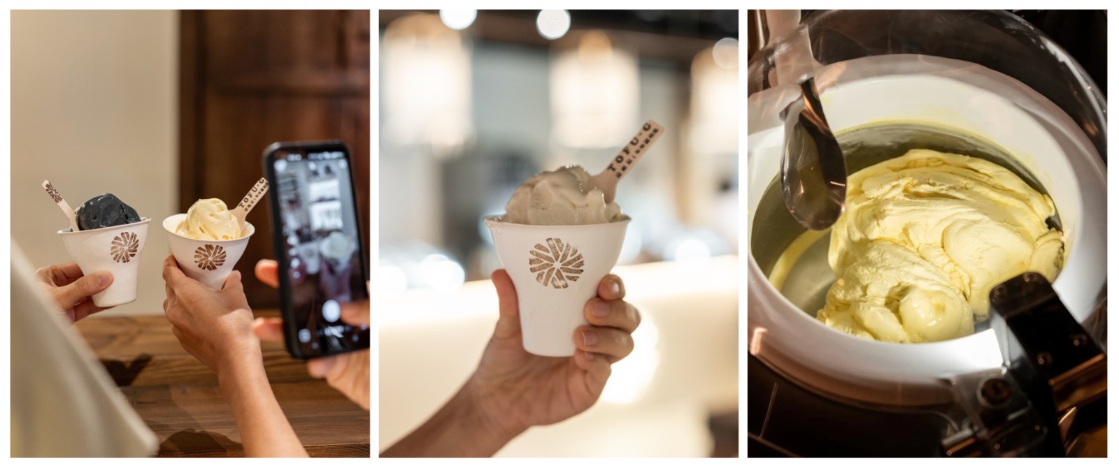 [Lobang Alert] Free 6,000 Gelatos! TOFU G Celebrates SG60 with Sweet Vegan Treats @ Mandarin Gallery - Alvinology