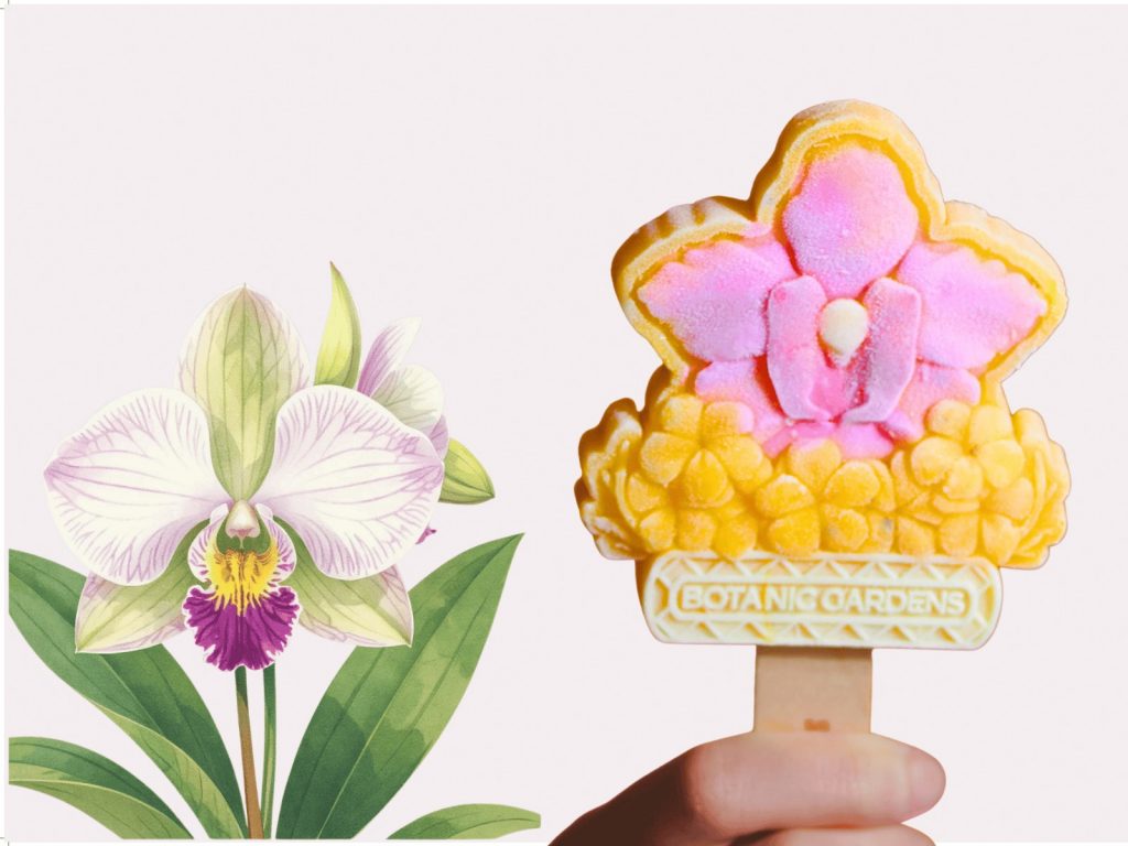 Momolato Launches SingaPop: $7.90 Halal-certified Architectural Gelato Popsicles for SG60 - Alvinology