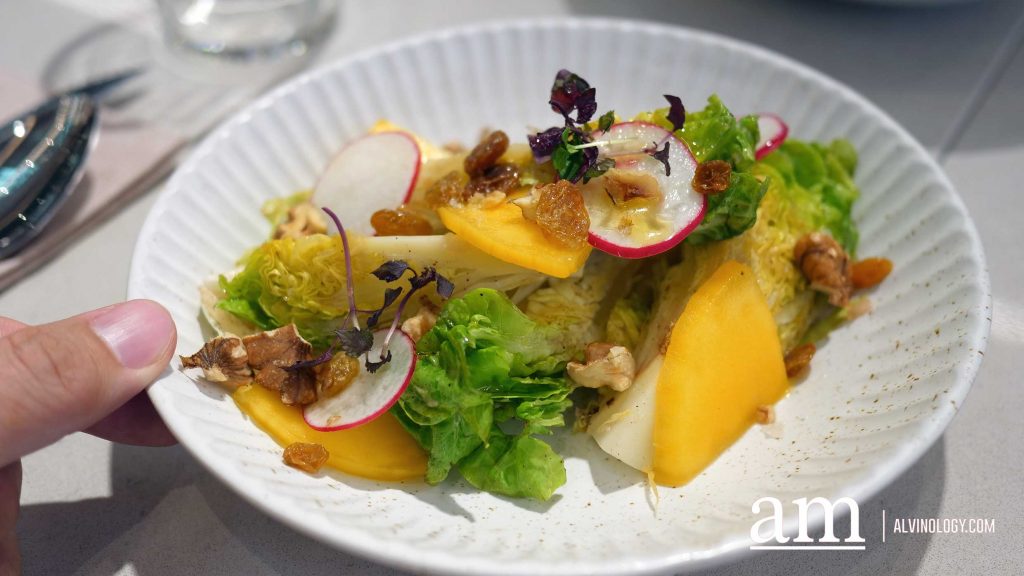 From Soufflé Pancakes to Sichuan Spice: Exploring the Revamped F&B Offerings at City Square Mall - Alvinology