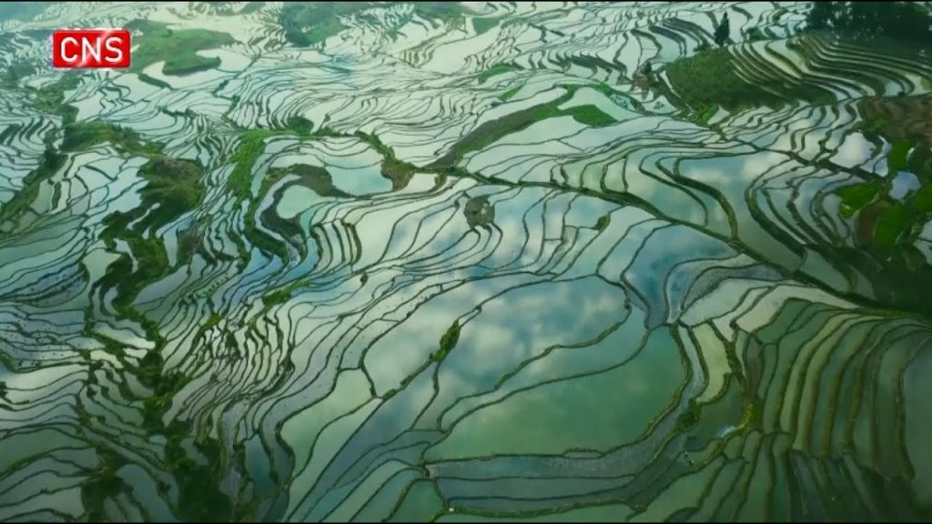 Hani Terraced Fields: A Paradise Harboring Ingenious Technology - Alvinology