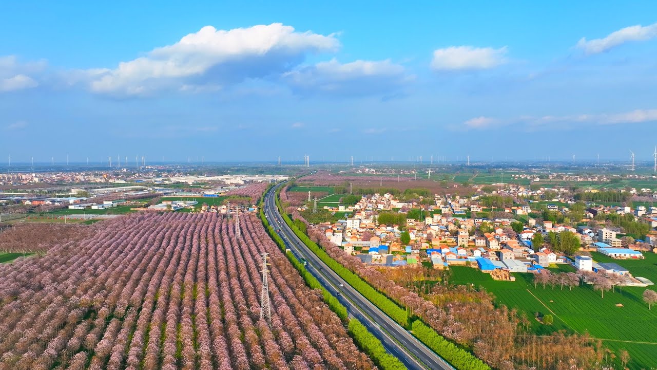 The Answer in a tree: Practices of Environmental Governance and Industrial Development in Lankao, Henan - Alvinology