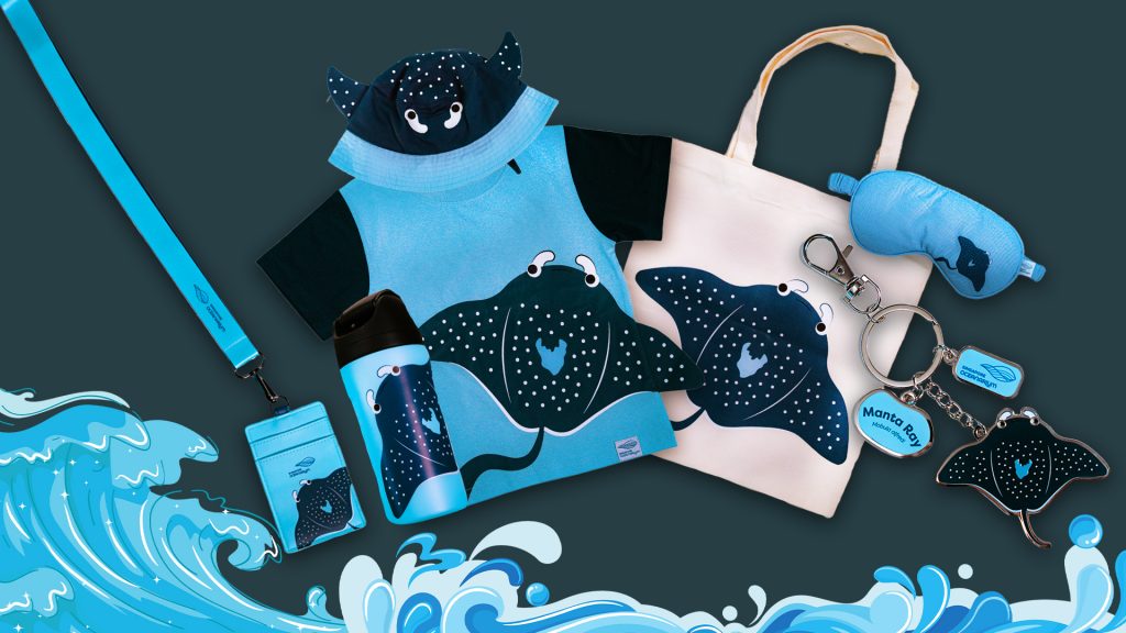 Singapore Oceanarium Celebrates World Manta Day with Special Programmes - Alvinology
