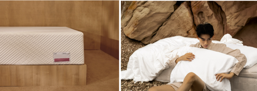 Top 5 Mattresses for a Balanced, Supportive Sleep Setup - Alvinology