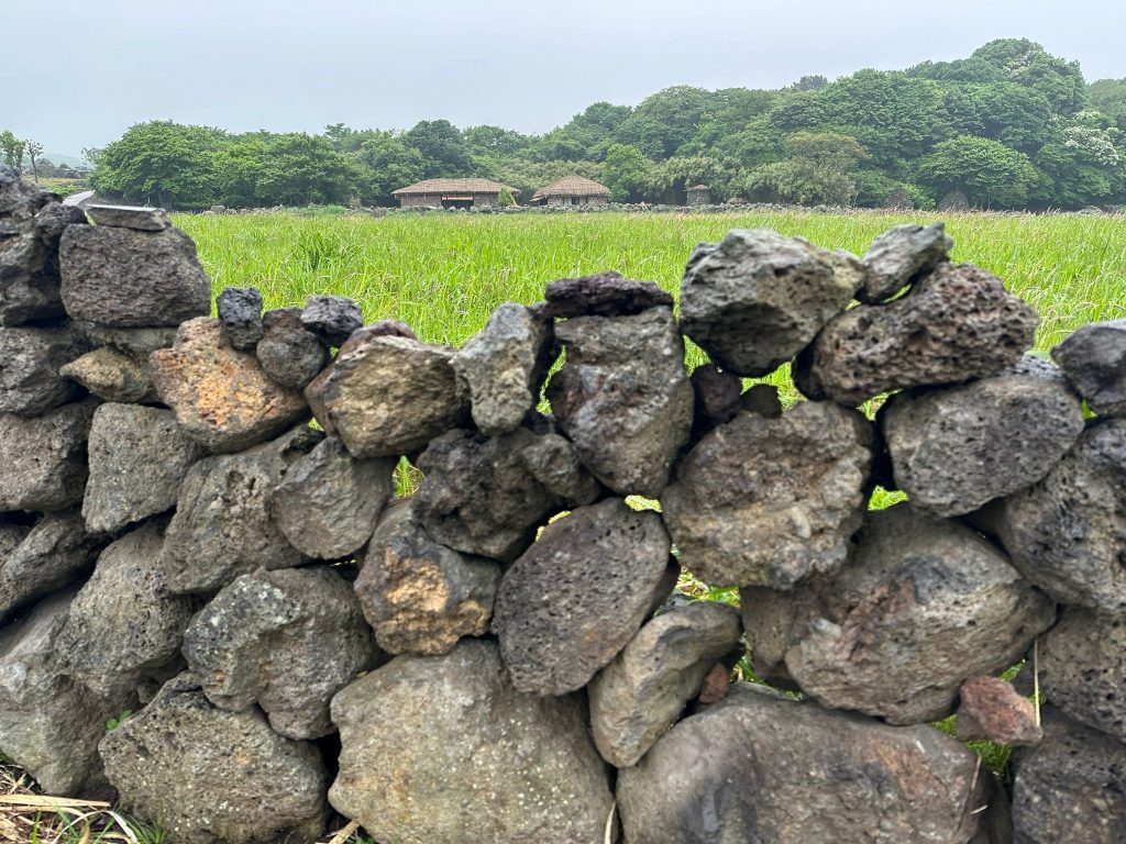 Your Next Long Weekend: A Curated 4-Day Jeju Itinerary Packed with Culture, Nature and Unique Experiences - Alvinology