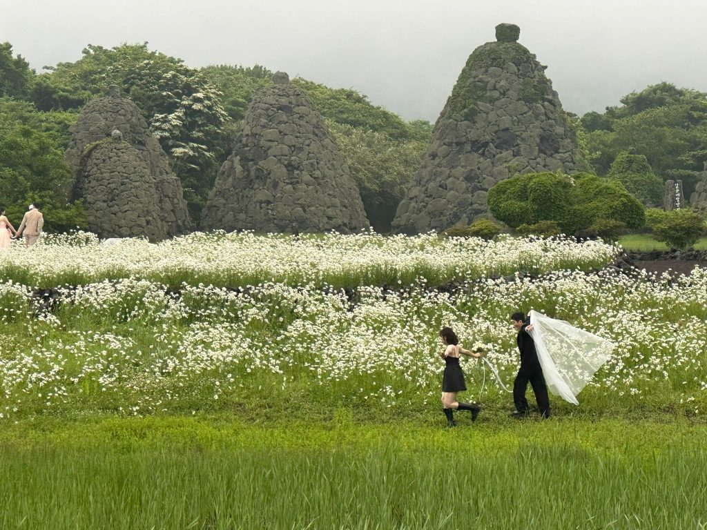 Your Next Long Weekend: A Curated 4-Day Jeju Itinerary Packed with Culture, Nature and Unique Experiences - Alvinology