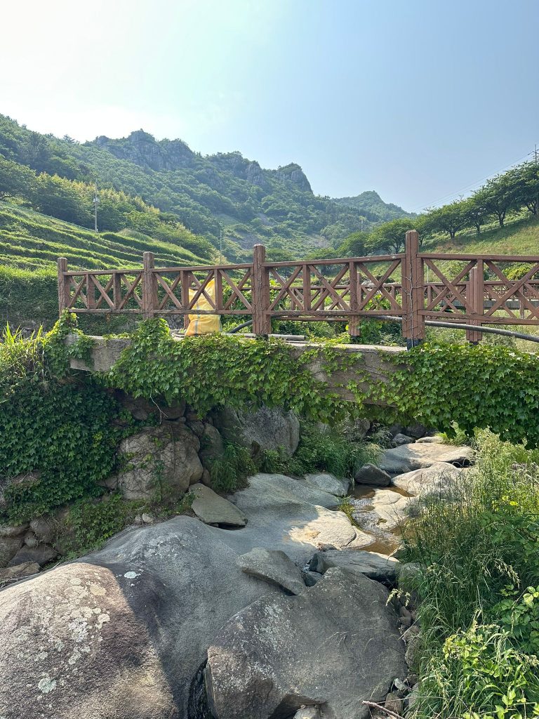 Beyond Busan: A 4-Day Road Trip to Discover Gyeongnam's Hidden Coastal Gems and Mountain Temples - Alvinology