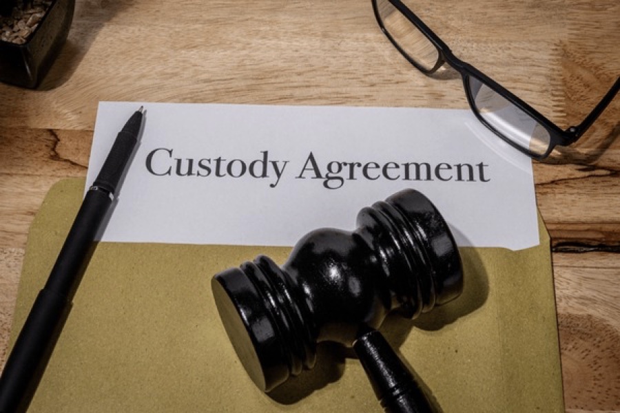 What You Should Know About Child Custody Factors - Alvinology