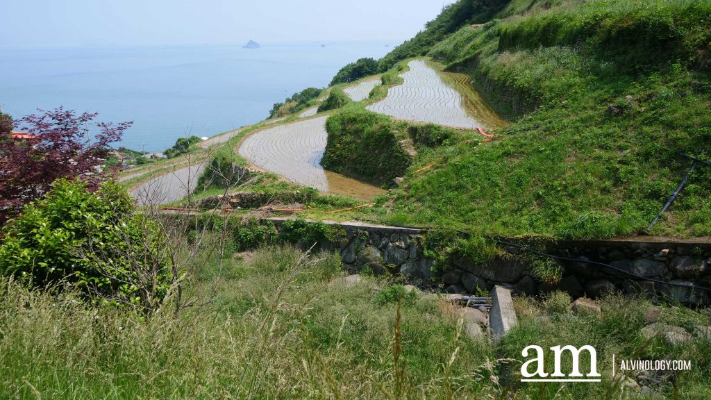 Beyond Busan: A 4-Day Road Trip to Discover Gyeongnam's Hidden Coastal Gems and Mountain Temples - Alvinology