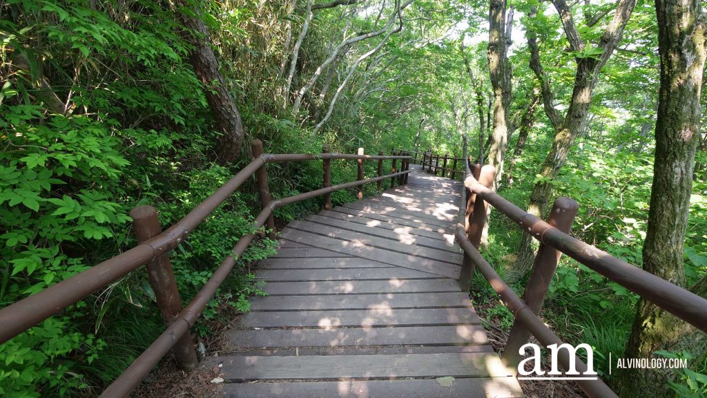 Beyond Busan: A 4-Day Road Trip to Discover Gyeongnam's Hidden Coastal Gems and Mountain Temples - Alvinology