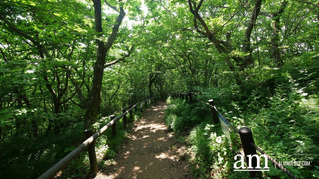 Beyond Busan: A 4-Day Road Trip to Discover Gyeongnam's Hidden Coastal Gems and Mountain Temples - Alvinology