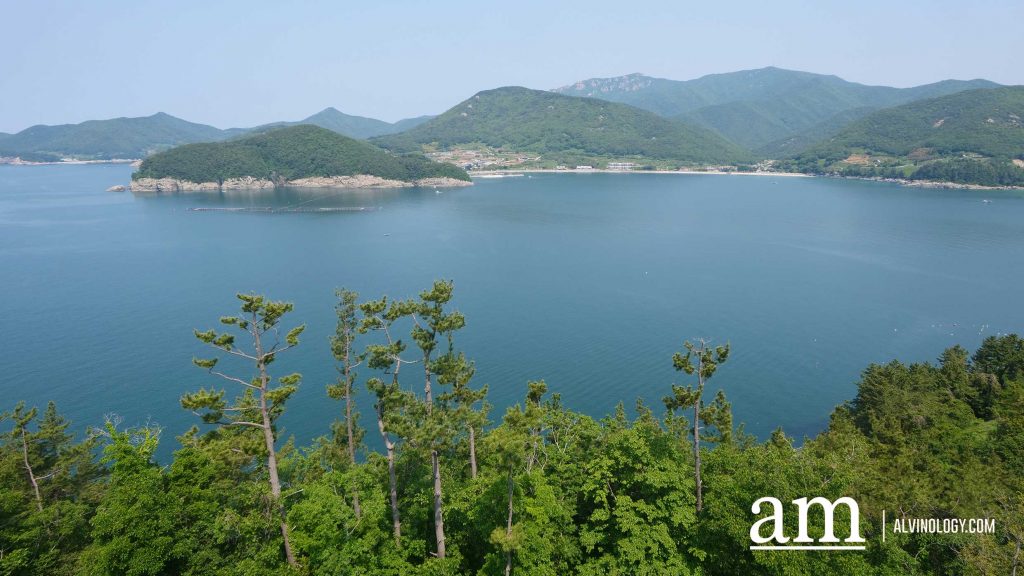 Beyond Busan: A 4-Day Road Trip to Discover Gyeongnam's Hidden Coastal Gems and Mountain Temples - Alvinology