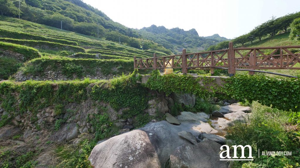 Beyond Busan: A 4-Day Road Trip to Discover Gyeongnam's Hidden Coastal Gems and Mountain Temples - Alvinology