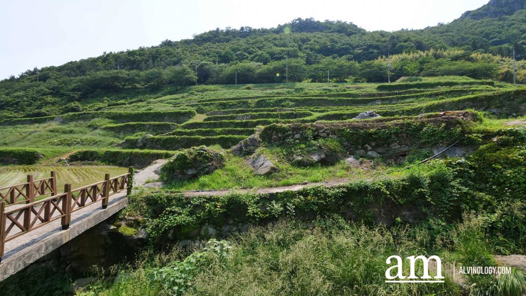 Beyond Busan: A 4-Day Road Trip to Discover Gyeongnam's Hidden Coastal Gems and Mountain Temples - Alvinology