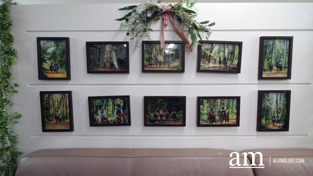 Your Next Long Weekend: A Curated 4-Day Jeju Itinerary Packed with Culture, Nature and Unique Experiences - Alvinology