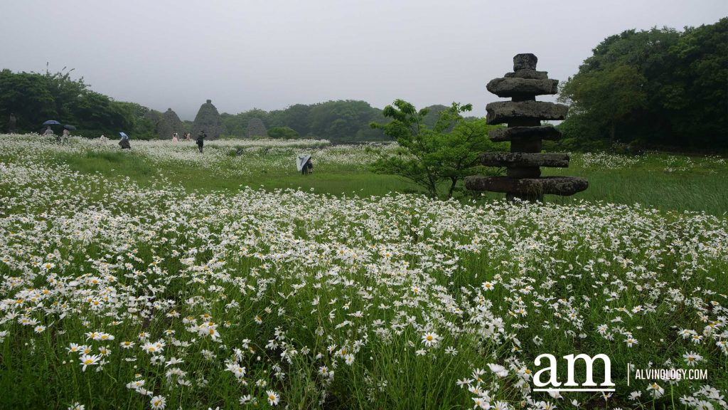 Your Next Long Weekend: A Curated 4-Day Jeju Itinerary Packed with Culture, Nature and Unique Experiences - Alvinology