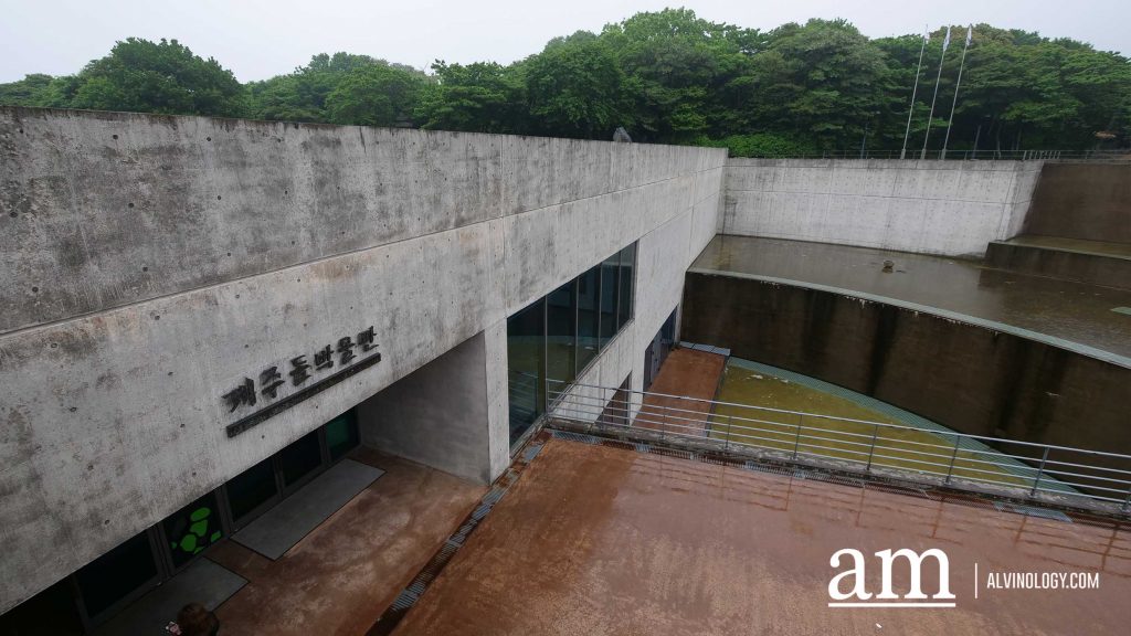 Your Next Long Weekend: A Curated 4-Day Jeju Itinerary Packed with Culture, Nature and Unique Experiences - Alvinology