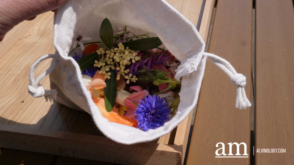 Your Next Long Weekend: A Curated 4-Day Jeju Itinerary Packed with Culture, Nature and Unique Experiences - Alvinology