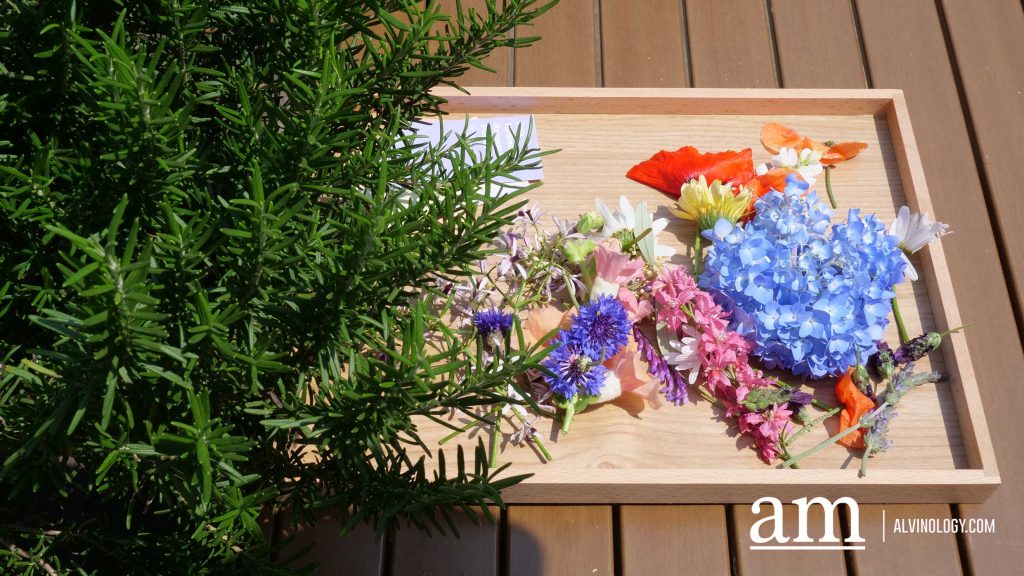 Your Next Long Weekend: A Curated 4-Day Jeju Itinerary Packed with Culture, Nature and Unique Experiences - Alvinology