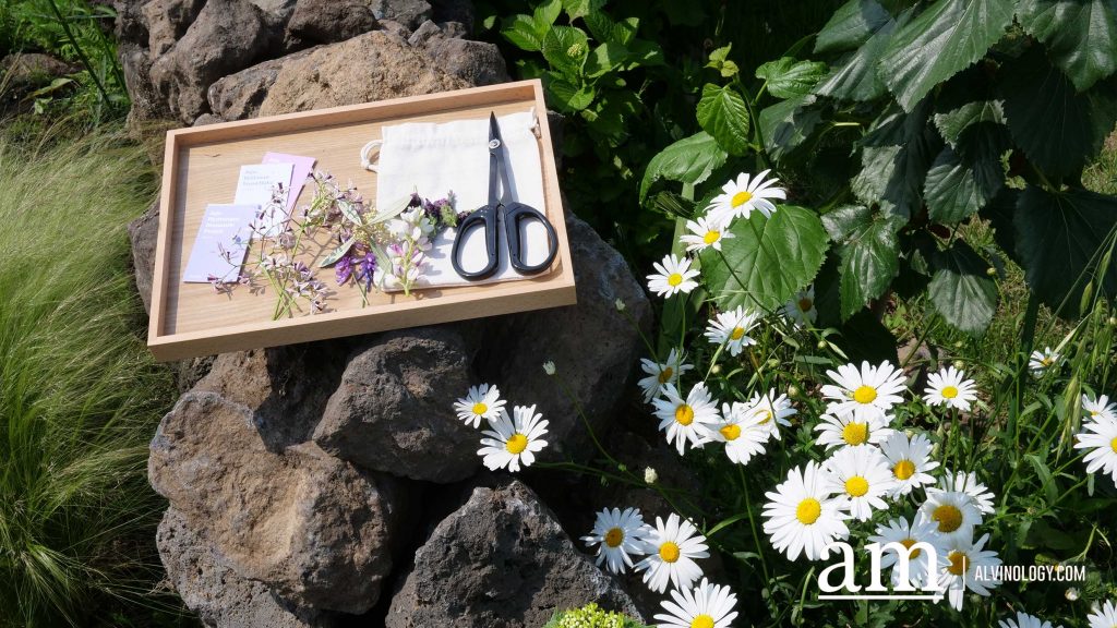 Your Next Long Weekend: A Curated 4-Day Jeju Itinerary Packed with Culture, Nature and Unique Experiences - Alvinology