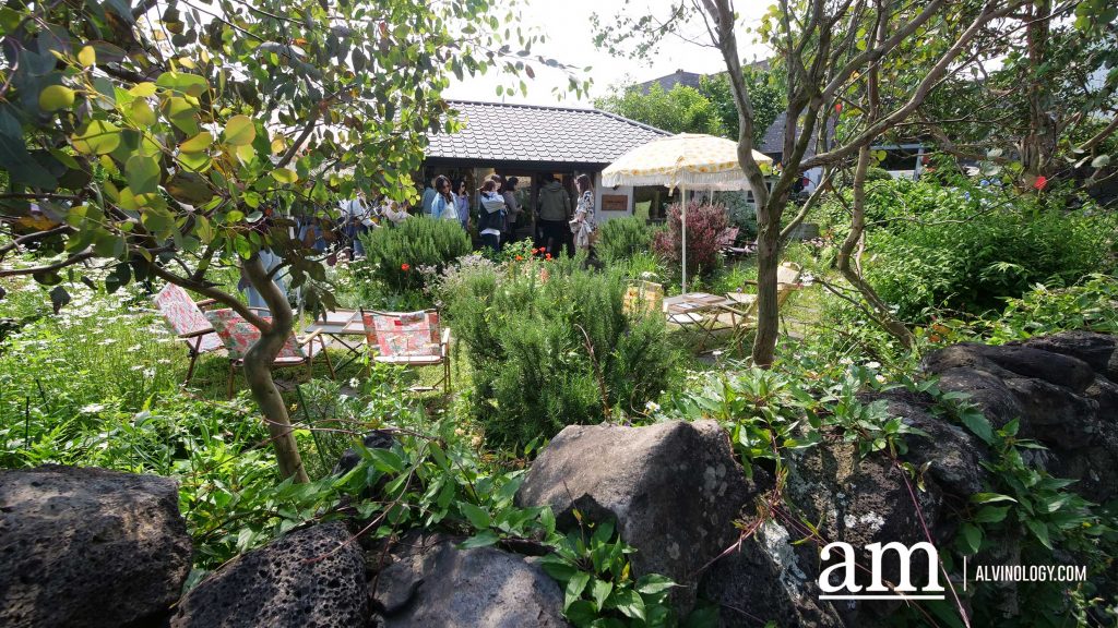 Your Next Long Weekend: A Curated 4-Day Jeju Itinerary Packed with Culture, Nature and Unique Experiences - Alvinology