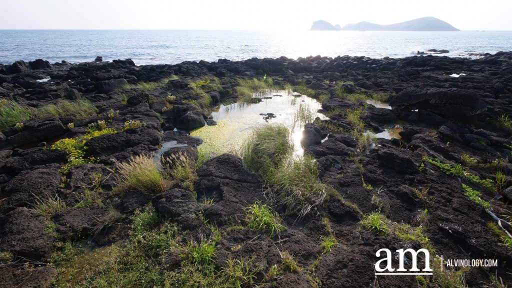 Your Next Long Weekend: A Curated 4-Day Jeju Itinerary Packed with Culture, Nature and Unique Experiences - Alvinology