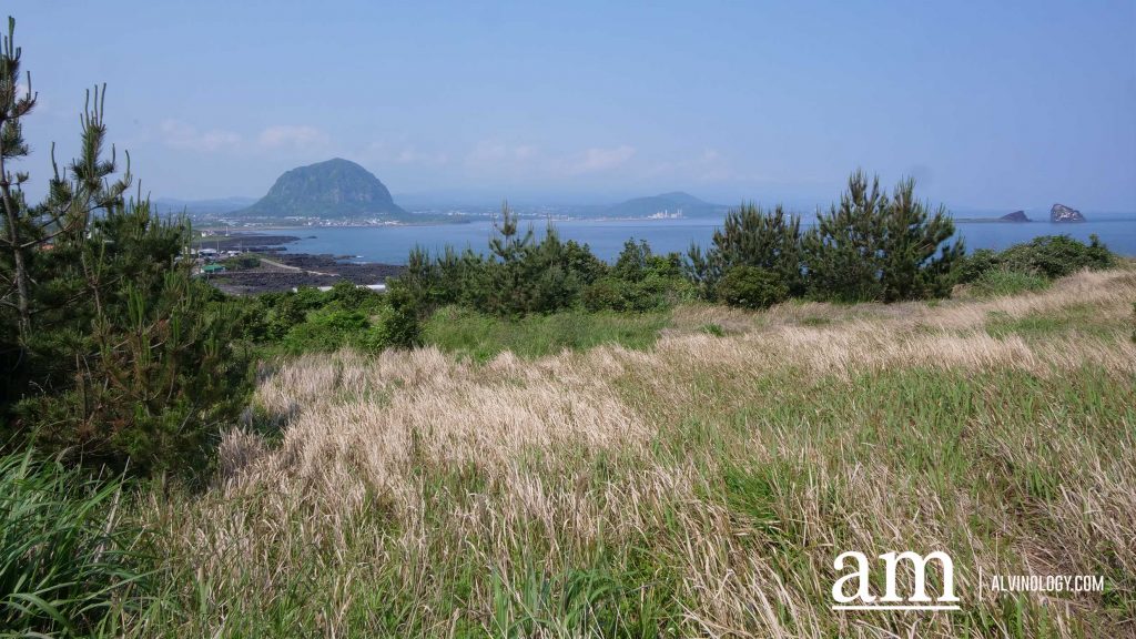 Your Next Long Weekend: A Curated 4-Day Jeju Itinerary Packed with Culture, Nature and Unique Experiences - Alvinology