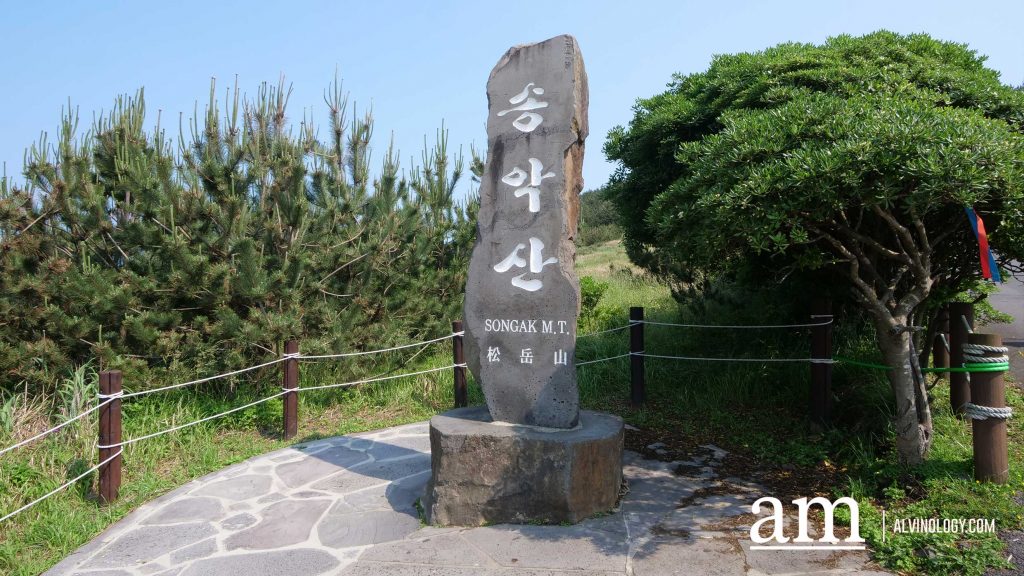 Your Next Long Weekend: A Curated 4-Day Jeju Itinerary Packed with Culture, Nature and Unique Experiences - Alvinology