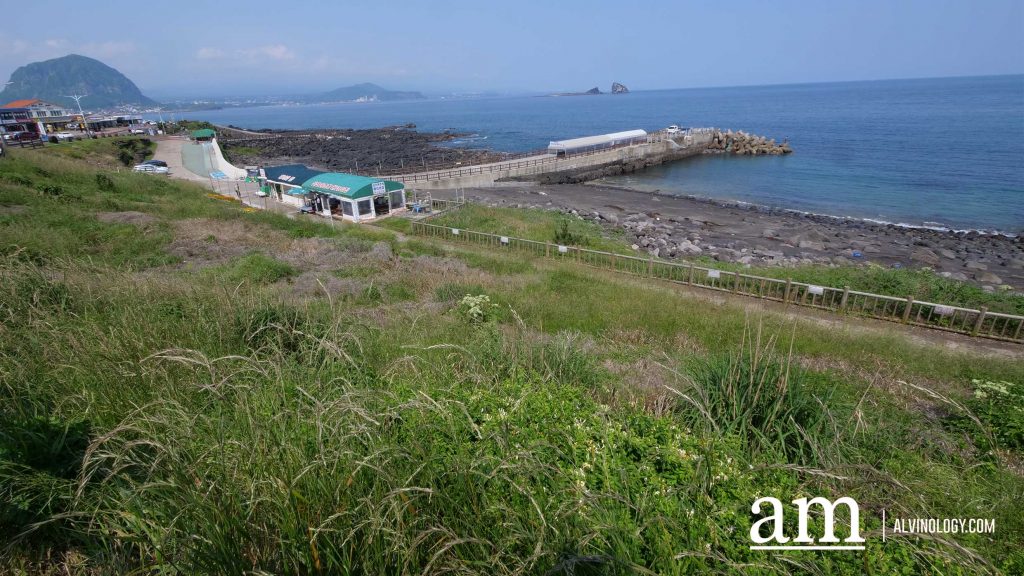 Your Next Long Weekend: A Curated 4-Day Jeju Itinerary Packed with Culture, Nature and Unique Experiences - Alvinology