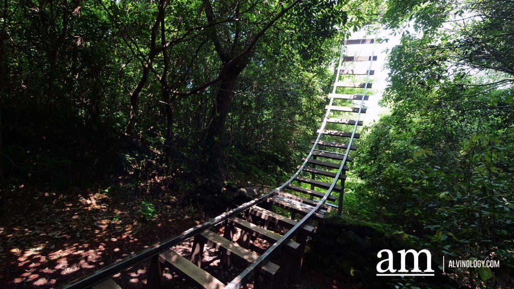 Your Next Long Weekend: A Curated 4-Day Jeju Itinerary Packed with Culture, Nature and Unique Experiences - Alvinology