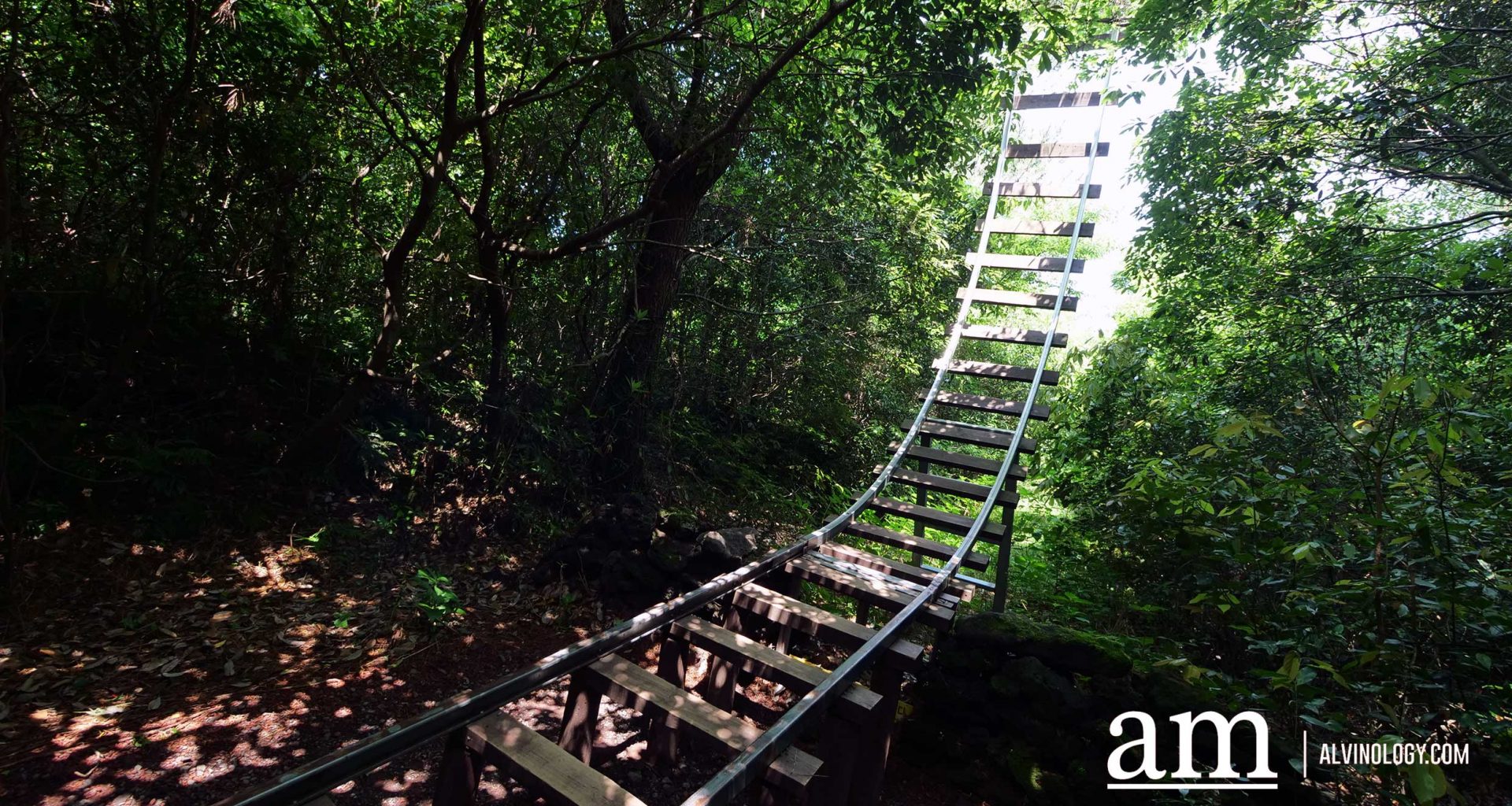 Your Next Long Weekend: A Curated 4-Day Jeju Itinerary Packed with Culture, Nature and Unique Experiences - Alvinology