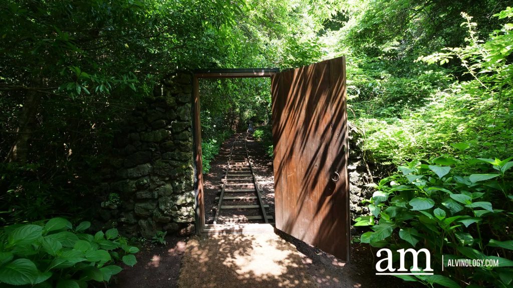 Your Next Long Weekend: A Curated 4-Day Jeju Itinerary Packed with Culture, Nature and Unique Experiences - Alvinology