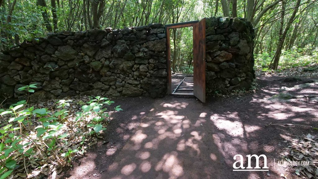 Your Next Long Weekend: A Curated 4-Day Jeju Itinerary Packed with Culture, Nature and Unique Experiences - Alvinology