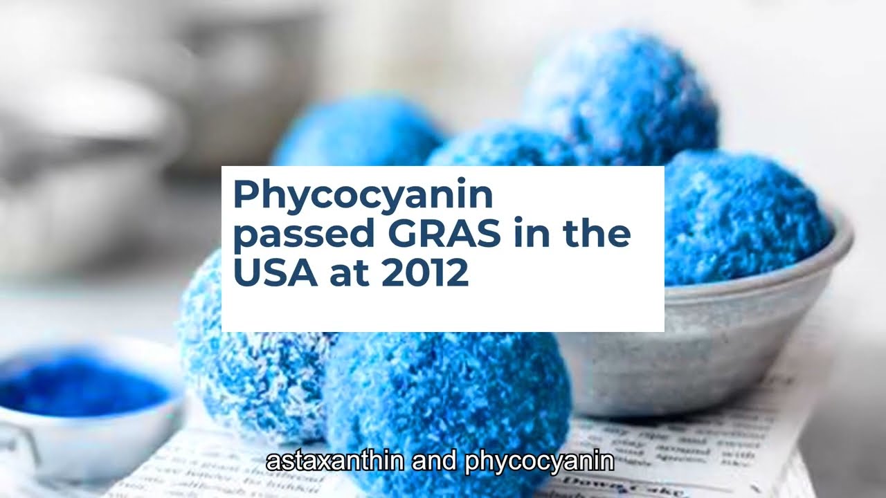 Monash University Malaysia’s algae breakthrough clinches global UN climate prize - Alvinology
