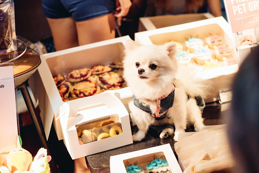 Zouk Singapore Revives Its Iconic Flea Concept with Hungover: The Ultimate Sunday Market & Daytime Party Zouk Singapore Revives Its Iconic Flea Concept with Hungover: The Ultimate Sunday Market & Daytime Party - Alvinology