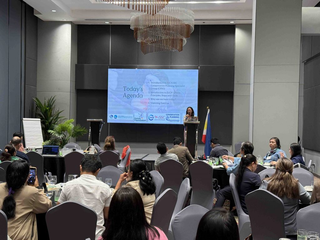 Mandai Wildlife Group Celebrates Landmark Conservation Success with First-Ever Philippine cockatoo Fledgling Hatched in Singapore - Alvinology