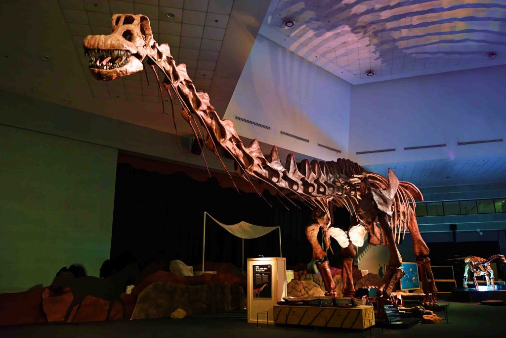 Singapore Roars Back in Time with Science Centre Singapore’s Largest Dinosaur Showcase - Alvinology