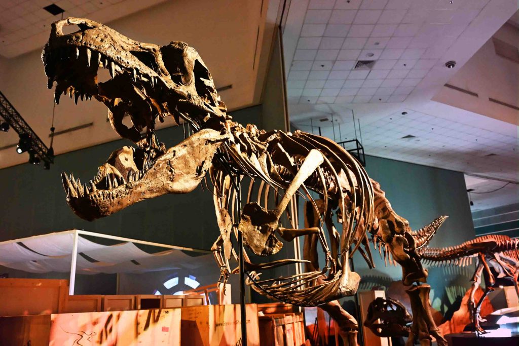 Singapore Roars Back in Time with Science Centre Singapore’s Largest Dinosaur Showcase - Alvinology