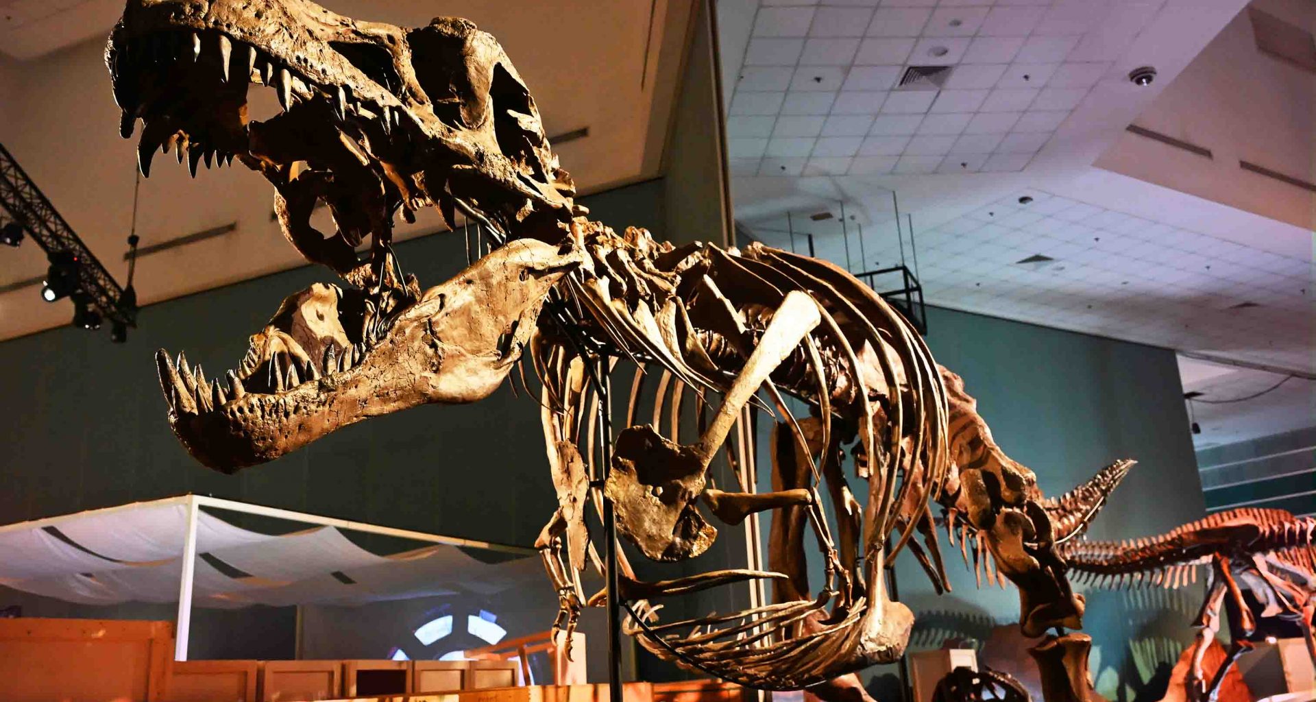 Singapore Roars Back in Time with Science Centre Singapore’s Largest Dinosaur Showcase - Alvinology